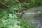 IMG-1345
