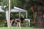IMG-1702
