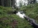 IMG-7501