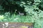 IMG-1760