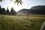 IMG-1782
