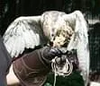 IMG-1864