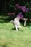 IMG-1871