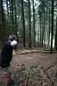 IMG-1884