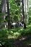 IMG-1896