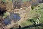 Kuerbiskopfturnier-147