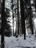 Zipfikoppnturnier-034