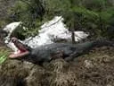 Bachwinkelchallenge-Lassi-Gedenkturnier-127