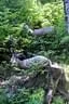 2012-05-19-Wasenmoos-055