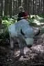 2012-05-19-Wasenmoos-080