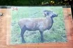 Prosseggklammturnier-095