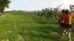 IMAG0056
