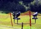 IMG-0063