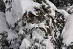 DSC-0639