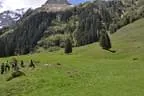 2013-Rauris-72
