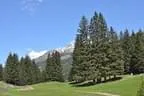 2013-Rauris-85