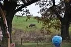 2013-Ranch-41