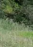 DSC-0122