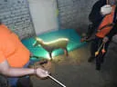 dscn4969