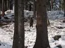 20.12-(8)