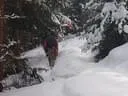 31.01-2