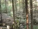 IMG-9019