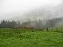 IMG-9231