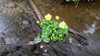 2016 Sommerparcours Bild 26
