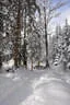 2016/17 Winterimpressionen Bild 2