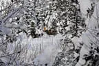 2016/17 Winterimpressionen Bild 22