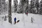 2016/17 Winterimpressionen Bild 54