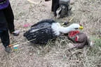Kufsteiner Härtetest 2016 (Frank) Bild 29