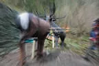 5erl BSV Avalon Bild 18