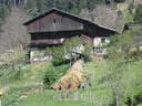 Jubiläumsturnier Losach Bild 19