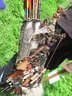 3. St. Antonius Turnier Bild 11