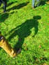 9. Jagdbogenmeisterschaft Bild 84