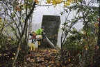 Kürbiskopfturnier 2017 Bild 24