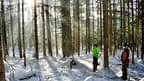 Winterimressionen 2017/18 Bild 7