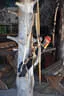 3. Primbogenturnier Rauris 2018 Bild 20