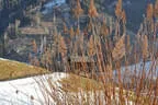 3. Primbogenturnier Rauris 2018 Bild 24