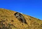 3. Primbogenturnier Rauris 2018 Bild 32