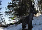 3. Primbogenturnier Rauris 2018 Bild 57