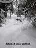 2018 Wintereinsatz Bild 14
