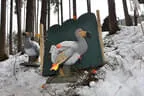 8. Turnier BSC Oberkrammern 2018 Bild 126