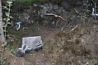 2018 Sommerparcoursumbau Bild 49