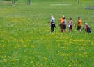 10 BSV Iseltal Turnier 2018 Bild 116
