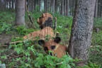 6. Turnier der BSU St. Veit 2018 Bild 67