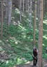16. Int. Dolomitenturnier Tag1 2018 Bild 67