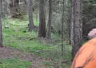 16. Int. Dolomitenturnier Tag1 2018 Bild 85