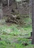 16. Int. Dolomitenturnier Tag1 2018 Bild 86